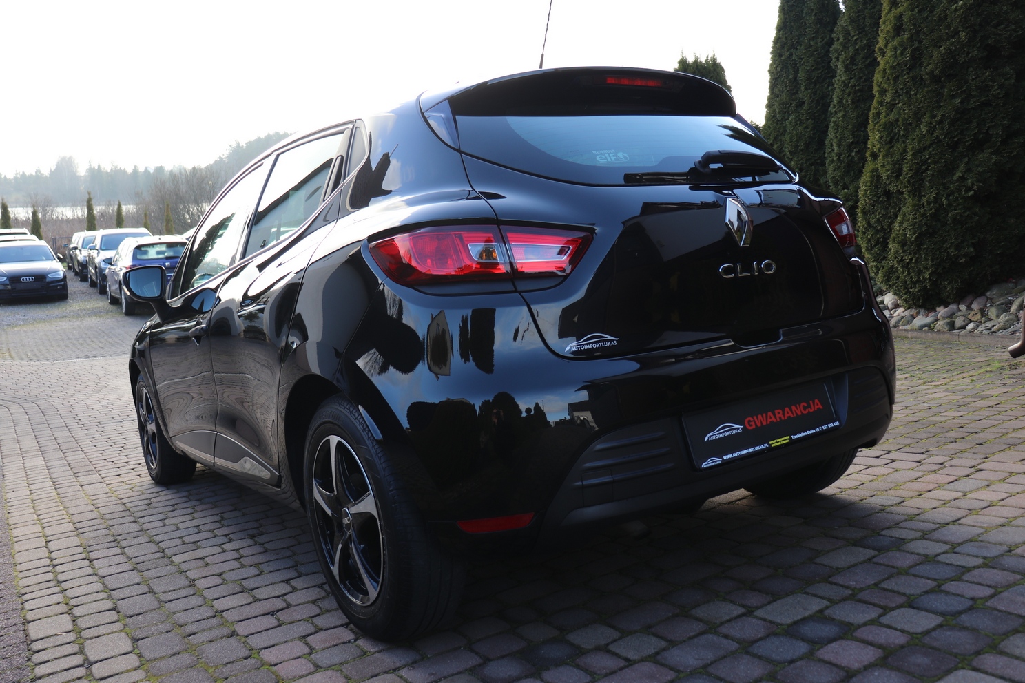 
								RENAULT CLIO 1.2, NISKI PRZEBIEG, SERWISOWANY, GWARANCJA full									