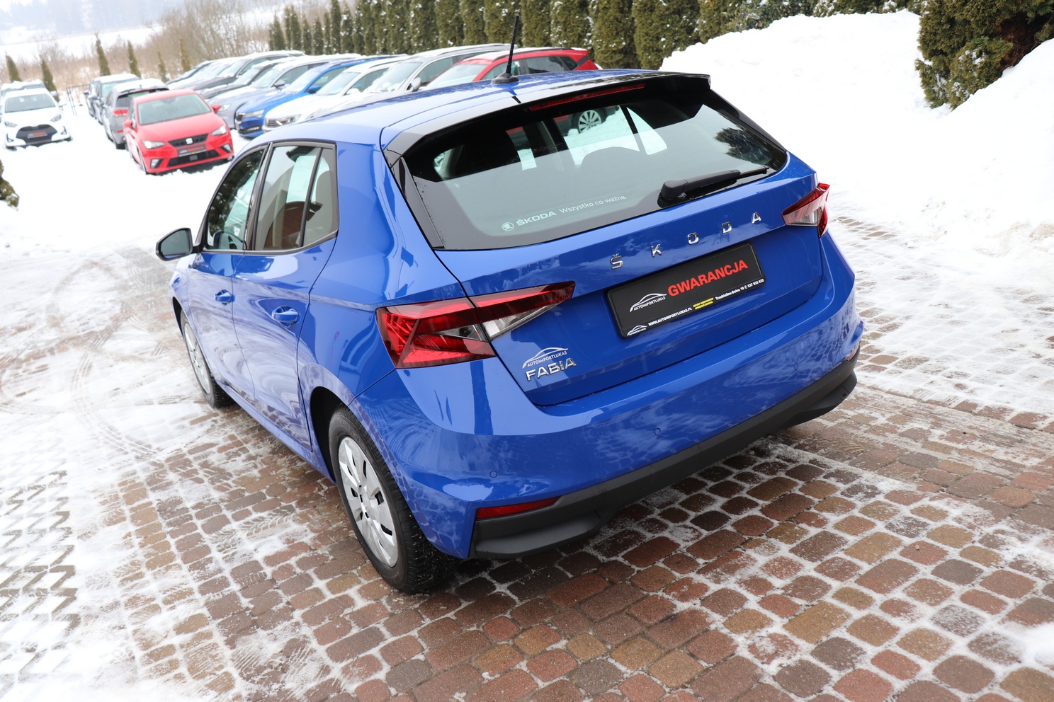 
								SKODA FABIA 1.0 TSI, 1 WŁAŚICICIEL, SERWISOWANY, KRAJOWY, F-VAT 23%, GWARANCJA full									
