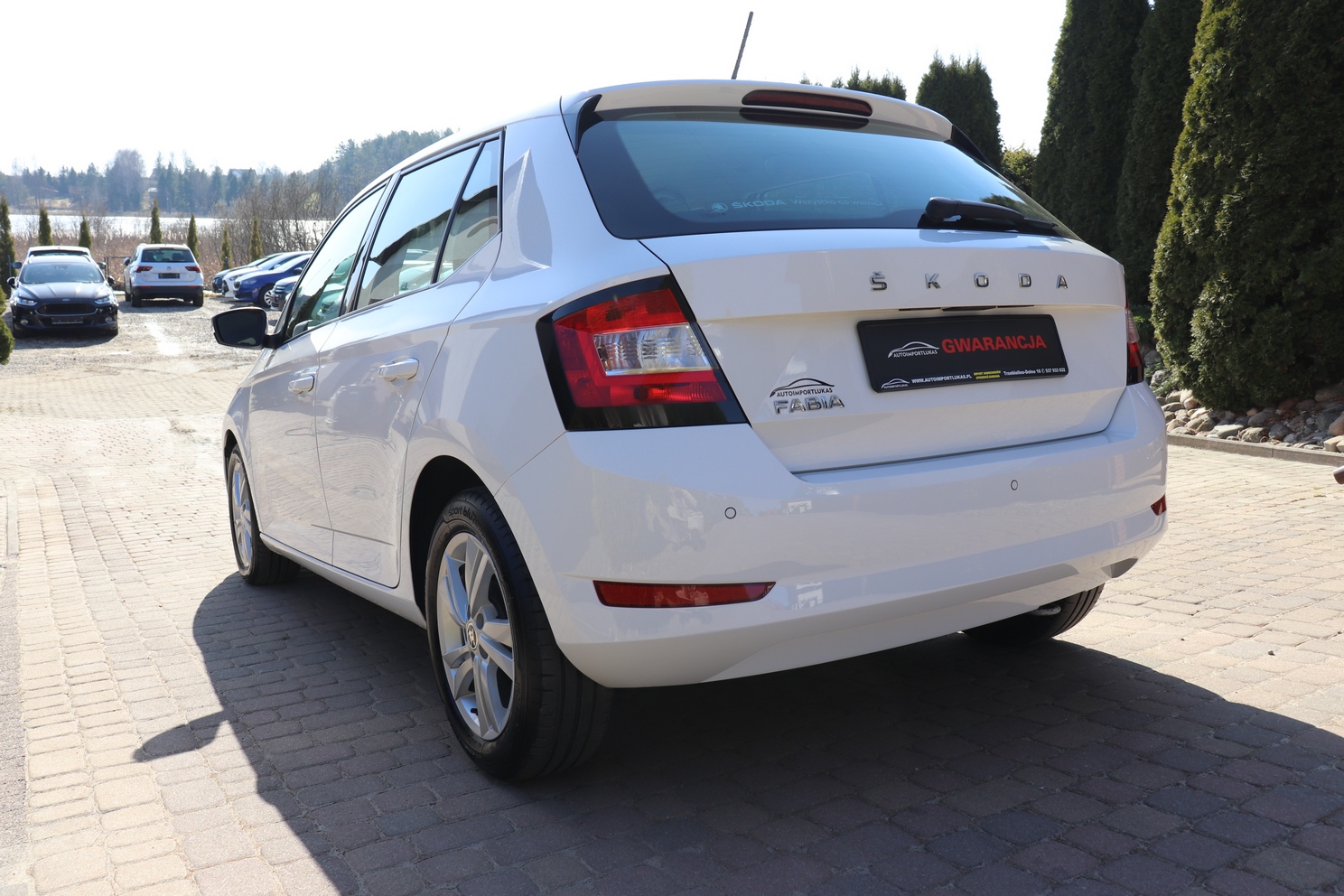 
								SKODA FABIA 1.0, 1 WŁAŚCICIEL, SERWISOWANY, KRAJOWY, GWARANCJA full									